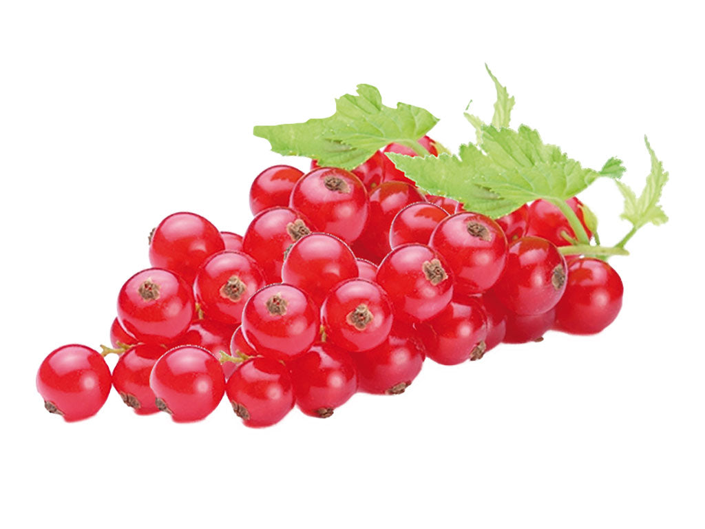 COACAZE ROȘII 350 g