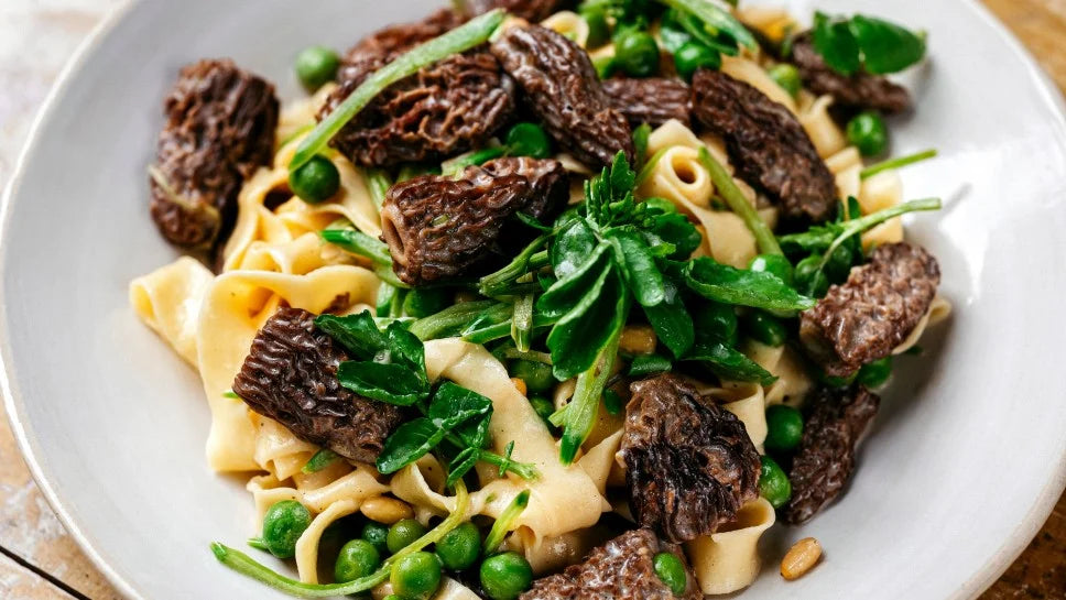 🌠 MORHELLA CONICA ZBÂRCIOG❄️IQF – ULTRADELICATESĂ 1 kg