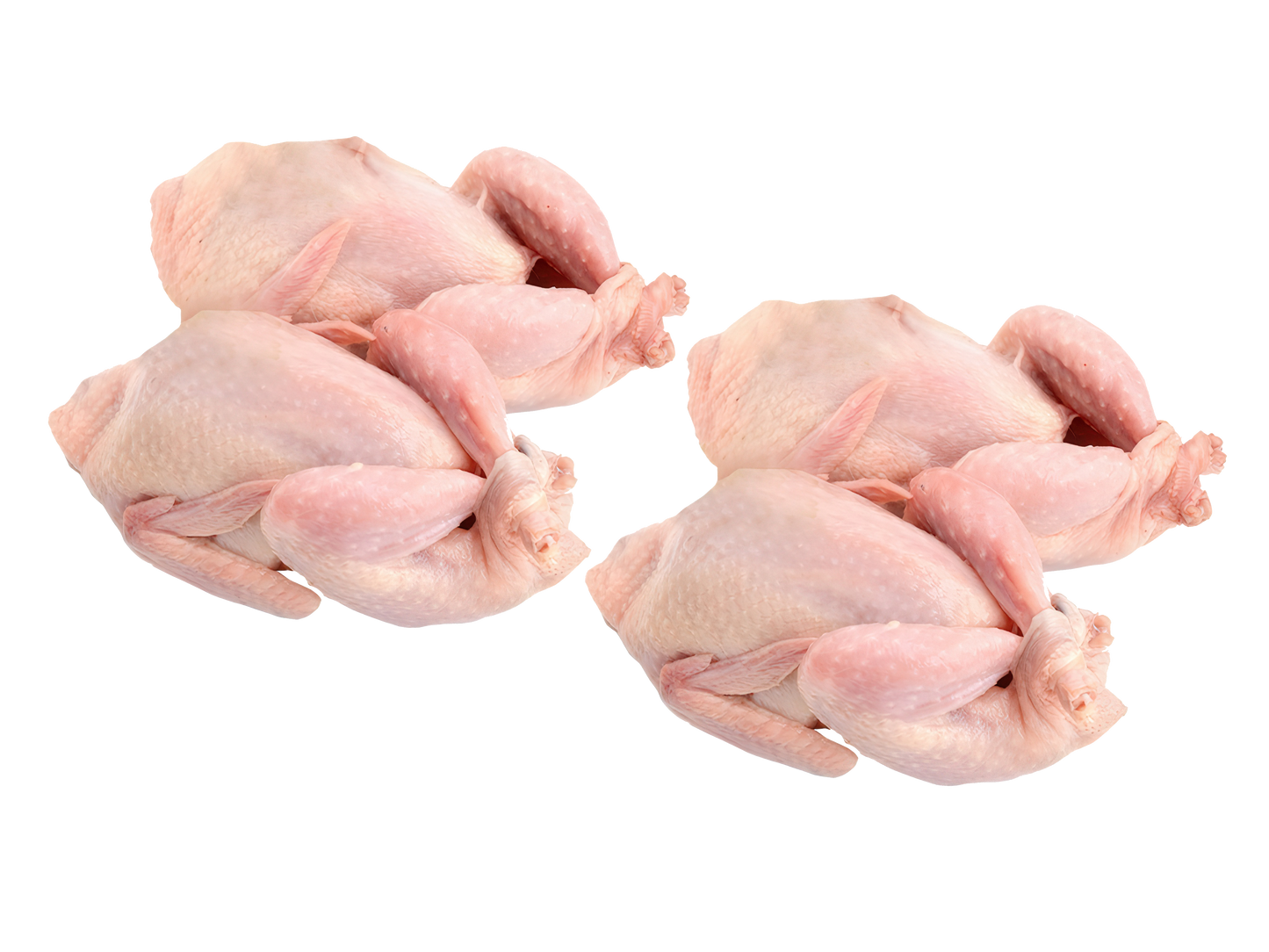 🕊️ PREPELIȚĂ ÎNTREAGĂ