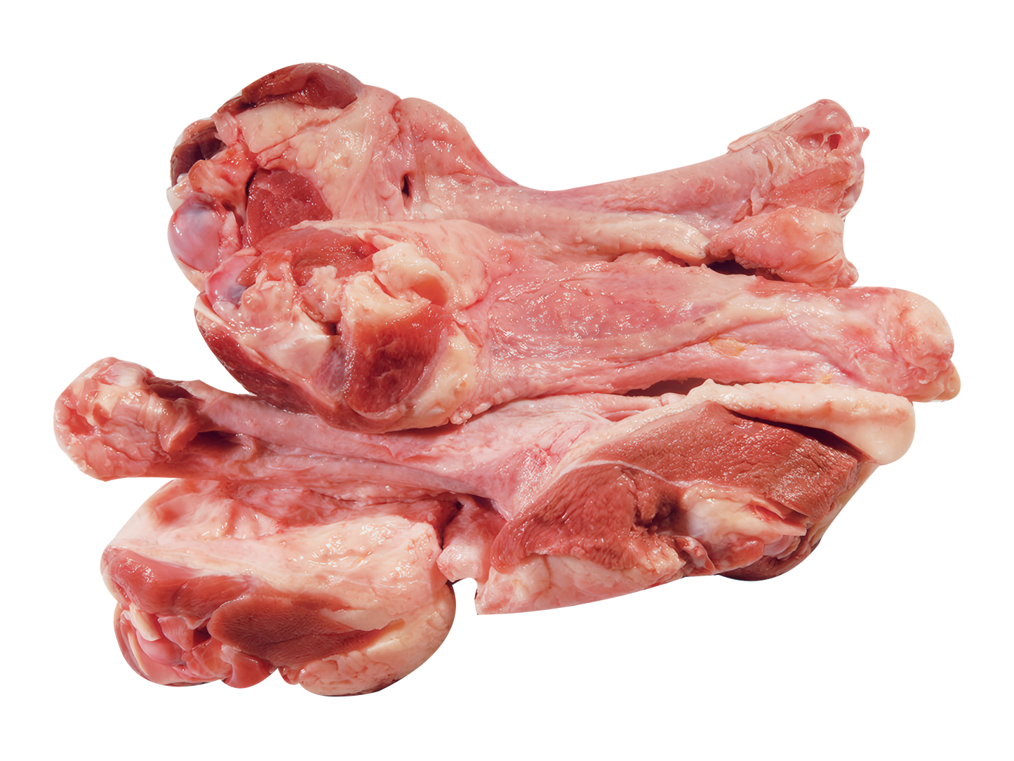 ARIPI SUPERIOARE DE GÂSCĂ (💰Lei/Kg)