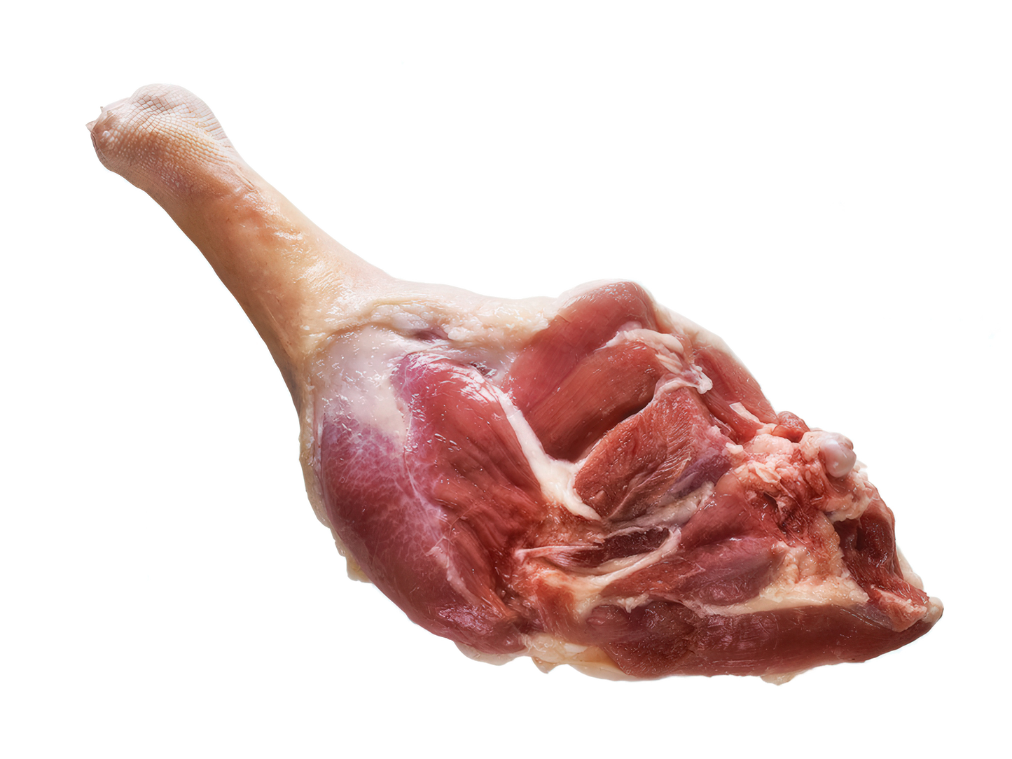 PULPĂ DE GÂSCĂ calibru 300–350 g (💰Lei/Kg)