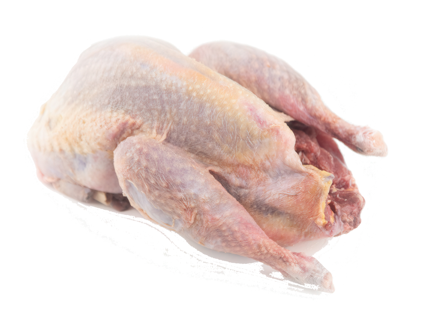 🌠 FAZAN ❄️IQF – CALIBRU 600–1000 G 🌠 (💰Lei/Kg)