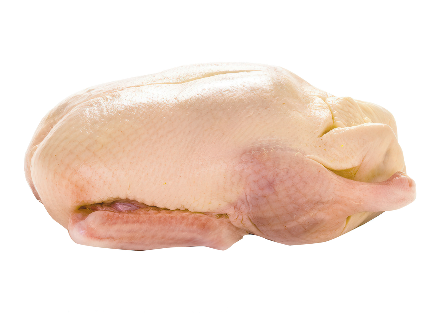 RAȚĂ ÎNTREAGA GRILL 2300–2400 g (💰Lei/Kg)