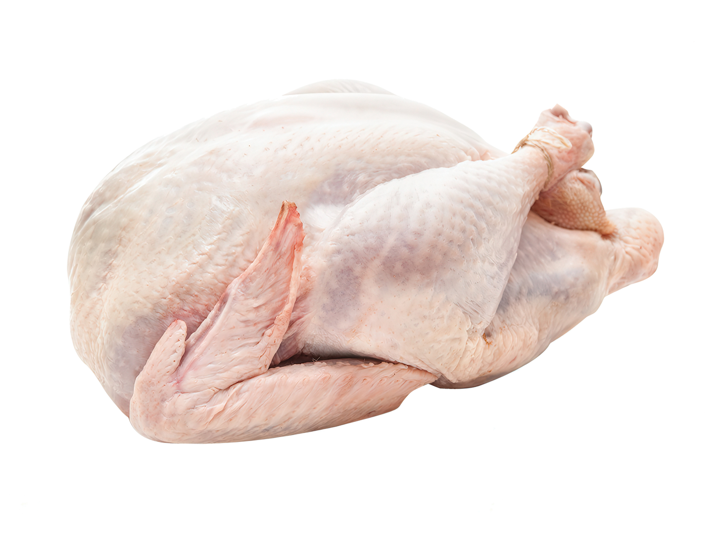 CURCAN TÂNĂR (💰 Lei/kg)