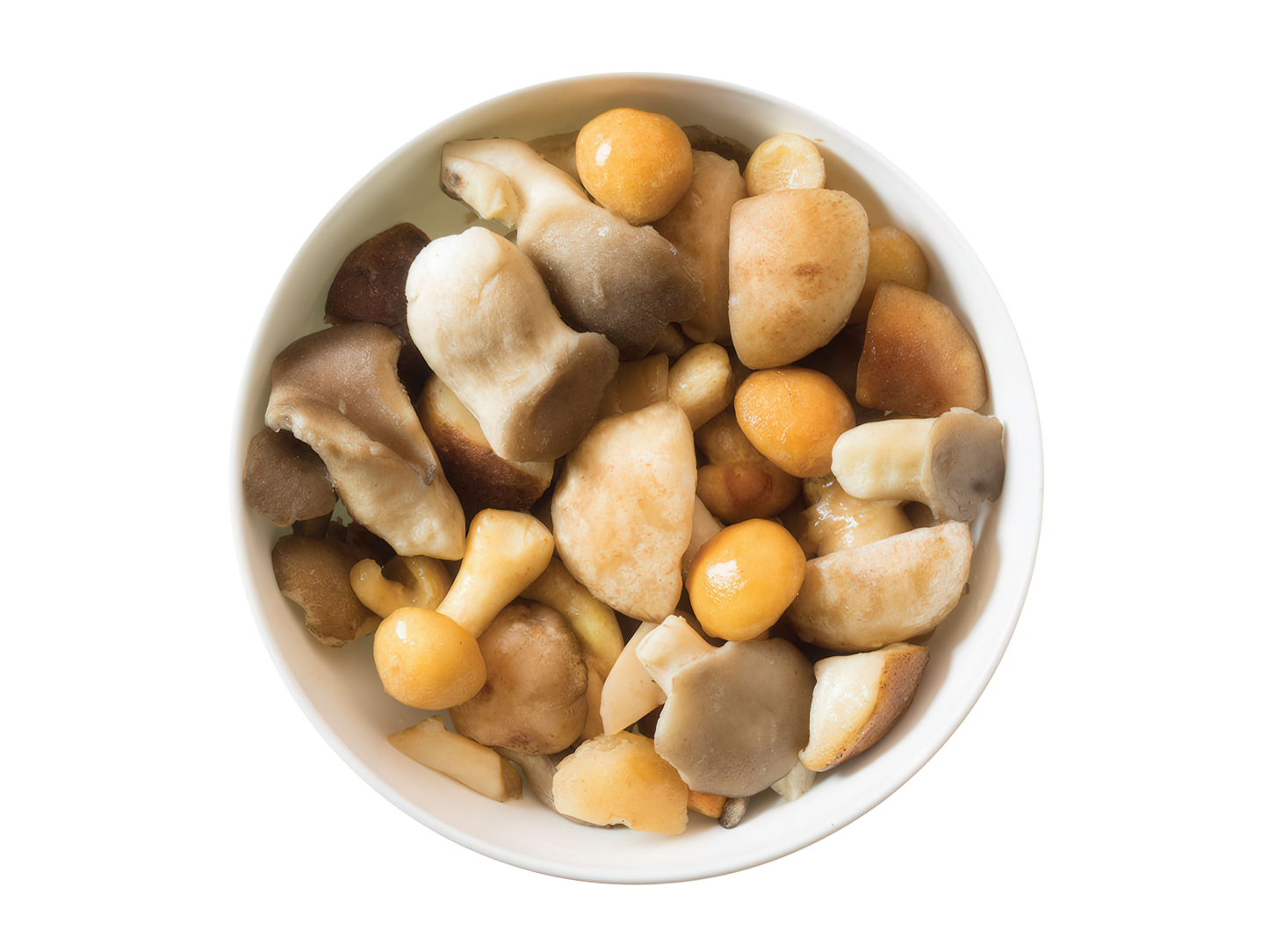 MIX CU CIUPERCI PADURE 1000 g REȚETA 1