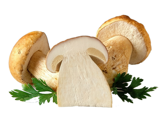 🌿 HRIBI❄️IQF – mai cunoscuți drept Funghi Porcini | DEBITAȚI CALITATEA PREMIUM 350 g