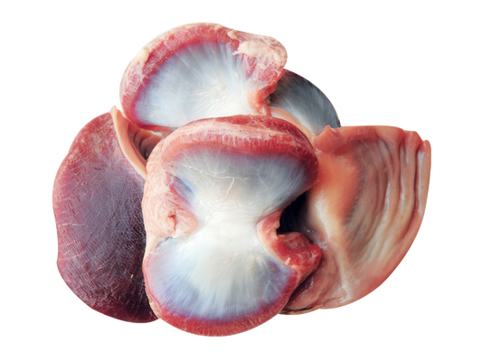 PIPOTĂ DE CURCAN (💰 Lei/kg)